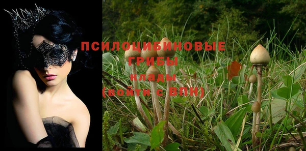 кокс Лагань
