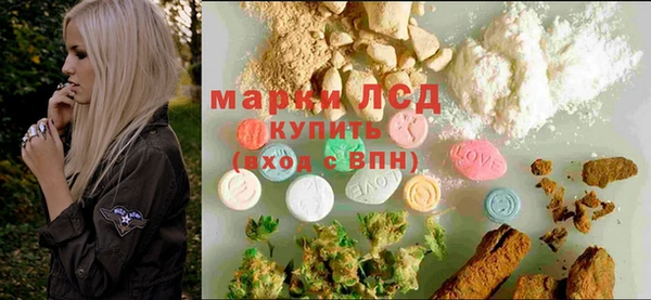 стафф Ладушкин