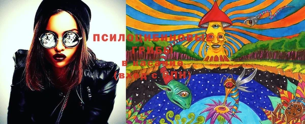 стафф Ладушкин