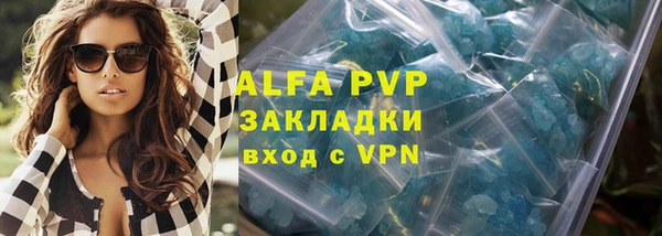 стафф Ладушкин
